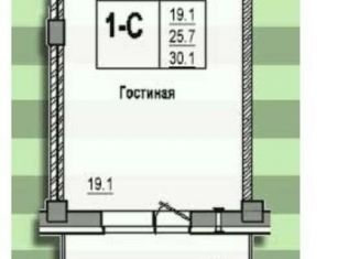 Продается квартира студия, 30.1 м2, деревня Писковичи, улица Гецентова, 3