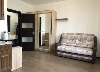 Сдача в аренду квартиры студии, 25 м2, Мурино, улица Шувалова, 25к1, ЖК Гринландия-2