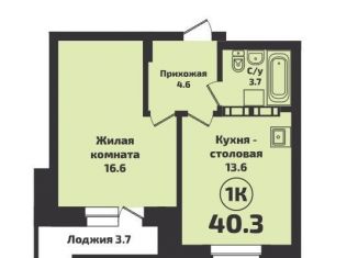 Продается 1-ком. квартира, 40.3 м2, Новосибирск, Красный проспект, 329/1, ЖК Инфинити