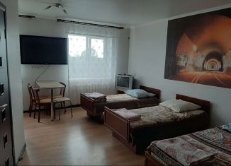 Аренда двухкомнатной квартиры, 43 м2, Саратовская область, улица Тургенева, 24
