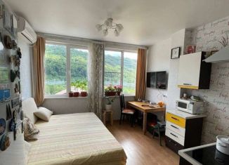 Продам квартиру студию, 20.3 м2, село Высокое, Ивановская улица, 125А