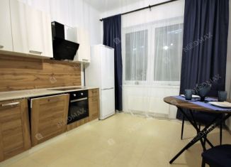 1-комнатная квартира в аренду, 45 м2, Санкт-Петербург, Приморский проспект, 62к1, ЖК Три Ветра