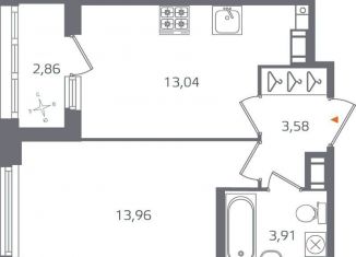 Продажа 1-комнатной квартиры, 35.9 м2, Санкт-Петербург, метро Лесная