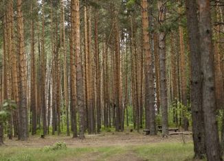 Продается участок, 36 сот., садоводческое некоммерческое товарищество Родники-1, Благодатная улица