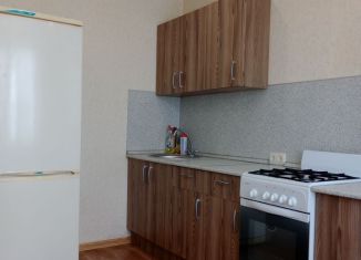 Сдается в аренду 1-комнатная квартира, 33 м2, Самарская область, улица Митрополита Мануила Лемешевского