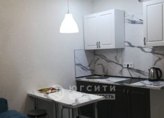 Однокомнатная квартира в аренду, 27 м2, Анапа, Владимирская улица, 154к4, ЖК Трио