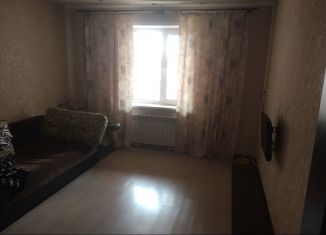 Аренда 1-комнатной квартиры, 45 м2, Александров, улица Королёва, 4к3