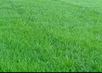 Продажа участка, 15 сот., село Ароматное