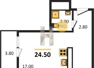 Продаю квартиру студию, 24.5 м2, Екатеринбург, метро Площадь 1905 года