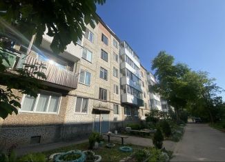 Продажа однокомнатной квартиры, 30 м2, деревня Сметанино, улица Липатенкова, 6