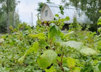 Дом на продажу, 40 м2, Чехов