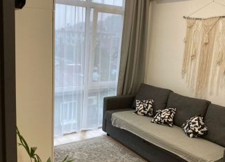 Продажа 1-комнатной квартиры, 34 м2, село Весёлое, Короткий переулок, 7