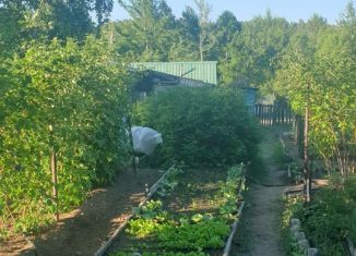 Продаю дачу, 35 м2, Чита