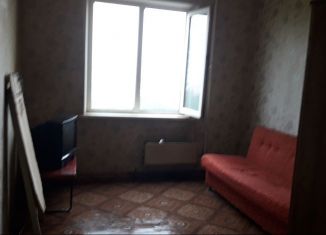 2-комнатная квартира в аренду, 48 м2, Екатеринбург, улица Мичурина, 214, улица Мичурина
