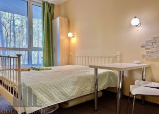 Сдается квартира студия, 20 м2, Зеленогорск, Комсомольская улица, 12