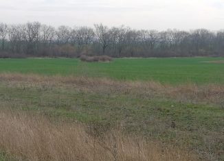 Продам земельный участок, 1200 сот., станица Новодмитриевская