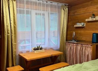 Сдача в аренду дома, 16 м2, село Иодро, Центральная улица