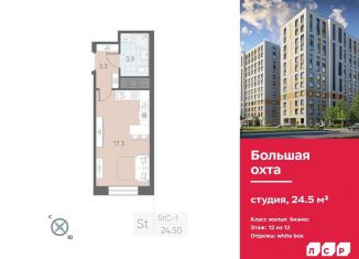 Продается квартира студия, 24.5 м2, Санкт-Петербург, метро Ладожская