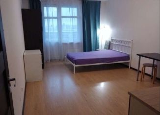 Сдается в аренду квартира студия, 30 м2, Санкт-Петербург, проспект Энергетиков, 9к1, муниципальный округ Большая Охта