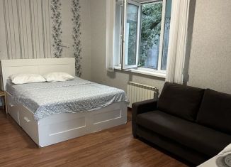 Сдается 1-ком. квартира, 40 м2, Краснодарский край, Туристическая улица, 21А