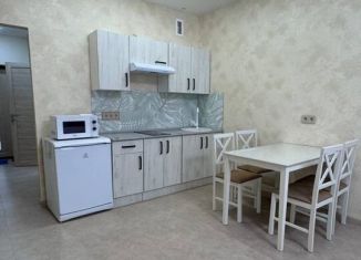 Сдаю в аренду квартиру студию, 40 м2, Иркутск, улица Якоби, 14, ЖК Якоби-Парк