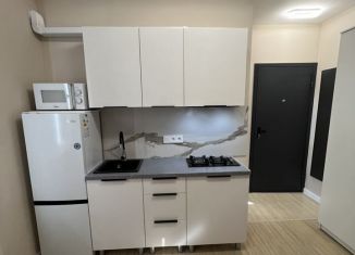 Сдаю квартиру студию, 20 м2, Сочи, Насыпная улица, 31, микрорайон Черемушки