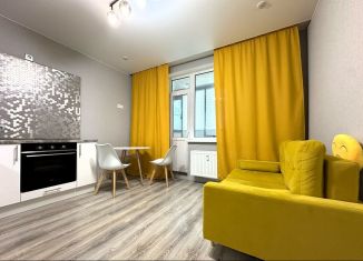 Сдается в аренду однокомнатная квартира, 34.4 м2, Мурино, Графская улица, 11, ЖК Краски Лета