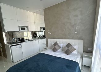 Сдача в аренду квартиры студии, 20 м2, Сочи, Депутатская улица, 10Б/1, ЖК Метрополь