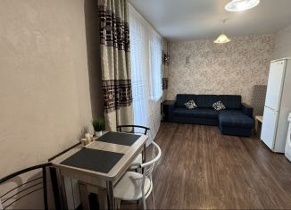 1-комнатная квартира в аренду, 50 м2, Новосибирск, улица Кошурникова