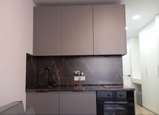 Сдаю в аренду квартиру студию, 20 м2, Свердловская область, микрорайон Светлый, 12