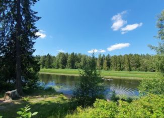 Продаю участок, 16 сот., городской посёлок Вырица, улица Мичурина