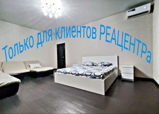 Аренда 1-комнатной квартиры, 44 м2, Самара, улица Академика Платонова, 10к6