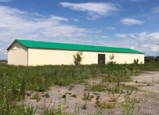 Земельный участок на продажу, 200 сот., село Старые Камышлы