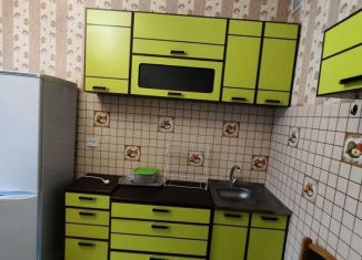 1-ком. квартира в аренду, 55 м2, Тула, Городской переулок, 33