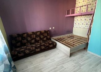 Сдается квартира студия, 30 м2, Санкт-Петербург, Русановская улица, 19к2, ЖК Ласточкино Гнездо