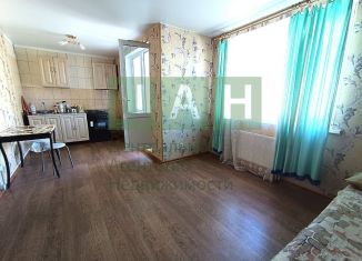 Сдам в аренду квартиру студию, 30 м2, Мурино, улица Шувалова, 10/18, ЖК Десяткино