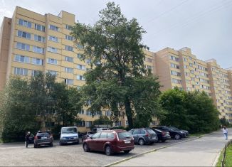 Продажа двухкомнатной квартиры, 45 м2, Сестрорецк, Дубковское шоссе, 17