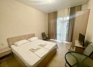 Аренда комнаты, 20 м2, Сочи, микрорайон Солоники, улица Солоники, 18/8