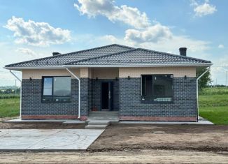 Продается дом, 150 м2, деревня Чернышевка, улица Изобилия