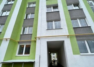 Продается двухкомнатная квартира, 49.6 м2, село Миловка, проспект Чижова, 4