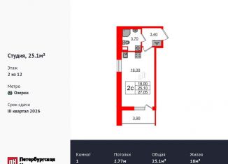 Продается квартира студия, 25.1 м2, Санкт-Петербург, метро Озерки