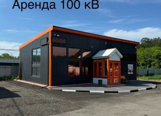 Сдача в аренду торговой площади, 100 м2, Тольятти, Лесная улица, 8/1, Центральный район