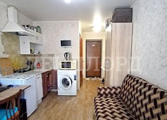 Продам квартиру студию, 20 м2, Ростовская область, улица Черевичкина, 91А