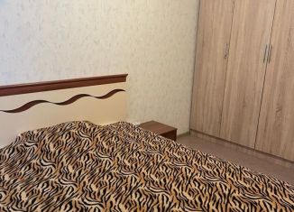 Сдаю в аренду 2-ком. квартиру, 58 м2, Нижнекамск, улица Фикрята Табеева