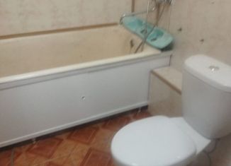 Двухкомнатная квартира в аренду, 42 м2, посёлок Гжельского кирпичного завода, посёлок Гжельского кирпичного завода, 12