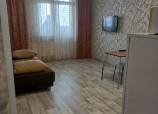 Сдается квартира студия, 28 м2, Оренбург, Уральская улица, 2/20, ЖК Дубки