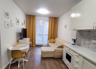 Сдается квартира студия, 30 м2, Москва, Красноказарменная улица, ЮВАО