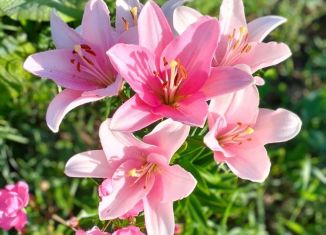 Сдам в аренду комнату, 14 м2, Сергиев Посад, Центральная улица, 9