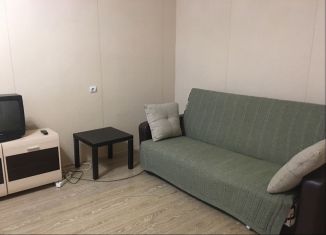 Двухкомнатная квартира в аренду, 47 м2, Орёл, улица Игнатова, 11, Советский район