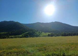 Продам земельный участок, 100 сот., село Ело